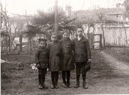 ARC 509 | Figli di Valentino Della Gaspera | Friuli Venezia Giulia | 1911