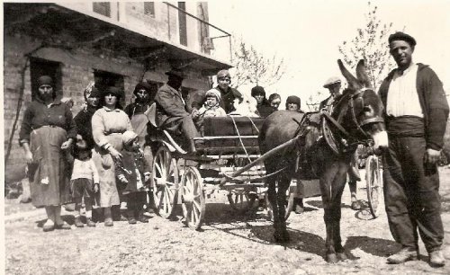 ARC 14 | Foto di gruppo con l'asino | Friuli Venezia Giulia | 1933