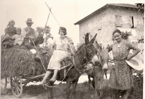 ARC 15 | Foto di gruppo con carro di fieno e due asini | Friuli Venezia Giulia | 1933